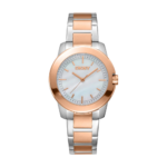 DKNY Park Ave Midi Women's Watch – Model DK1L020M0085
