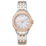 DKNY Brooklyn Mini Women's Watch – Model DK1L013M0105