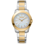 DKNY Park Ave Midi Women's Watch – Model DK1L020M0065