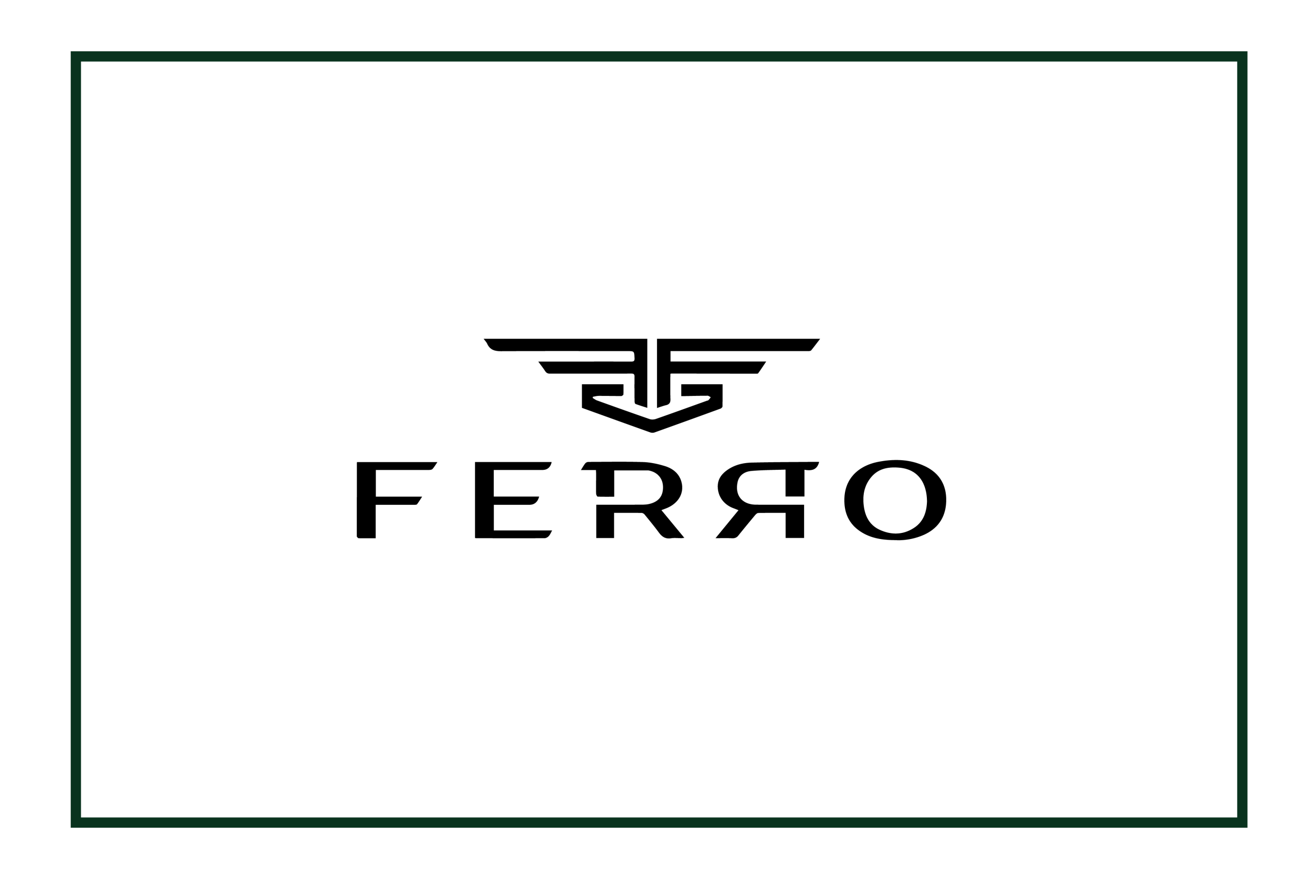 Ferro Watches